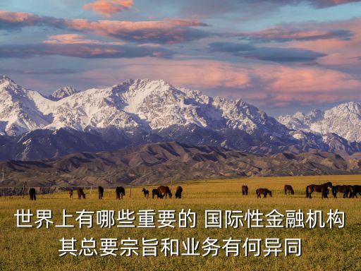 世界上有哪些重要的 國際性金融機(jī)構(gòu)其總要宗旨和業(yè)務(wù)有何異同