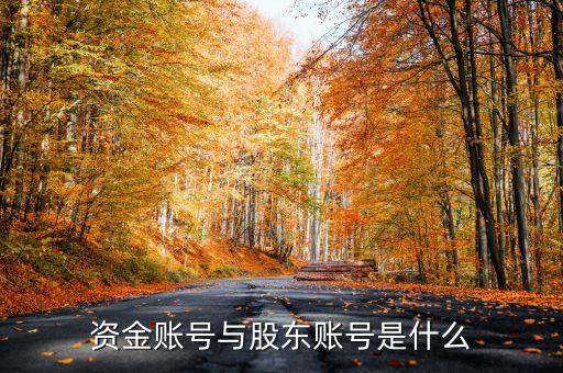 資金賬號(hào)與股東賬號(hào)是什么