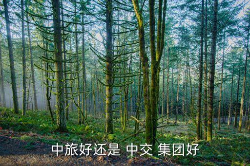 中旅好還是 中交 集團(tuán)好