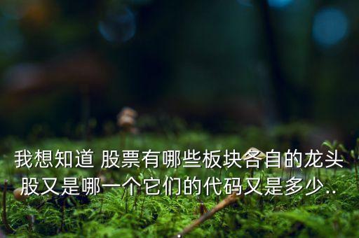 我想知道 股票有哪些板塊各自的龍頭股又是哪一個(gè)它們的代碼又是多少...