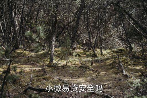 郵政儲蓄銀行小微金融,中國郵政儲蓄銀行針對小微企業(yè)貸款的產品