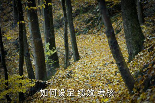 如何設(shè)定 績(jī)效 考核