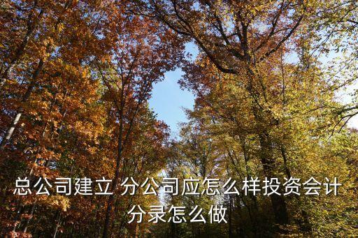 總公司建立 分公司應(yīng)怎么樣投資會計分錄怎么做