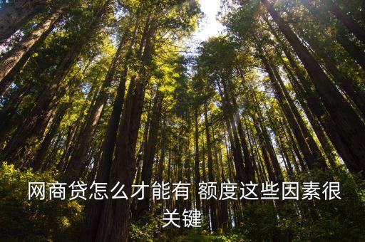  網(wǎng)商貸怎么才能有 額度這些因素很關鍵