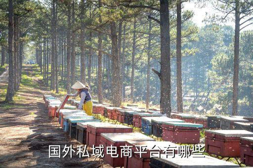 跨國(guó)公司宜家,宜家跨國(guó)公司經(jīng)營(yíng)管理案例
