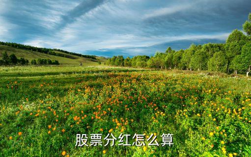 中國(guó)南車股權(quán)登記日