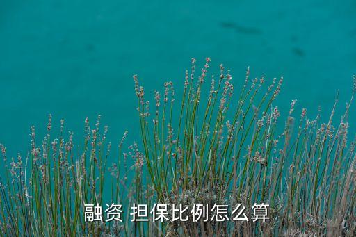 融資 擔(dān)保比例怎么算