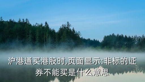 滬港通買(mǎi)港股時(shí),頁(yè)面顯示:非標(biāo)的證券不能買(mǎi)是什么意思