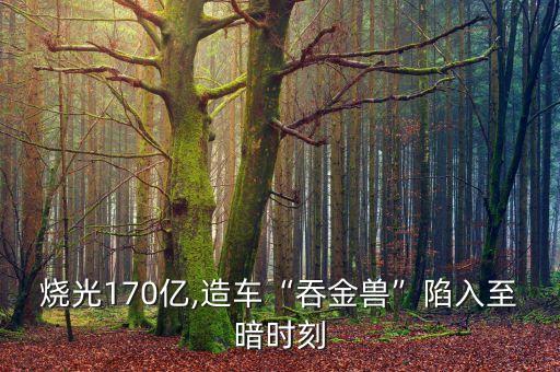 燒光170億,造車(chē)“吞金獸”陷入至暗時(shí)刻