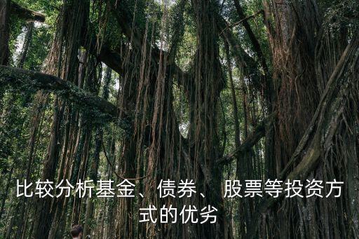 比較分析基金、債券、 股票等投資方式的優(yōu)劣