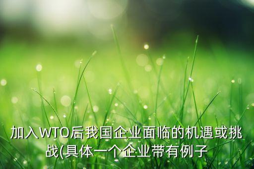 加入WTO后我國企業(yè)面臨的機(jī)遇或挑戰(zhàn)(具體一個企業(yè)帶有例子