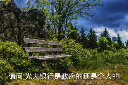 請(qǐng)問(wèn) 光大銀行是政府的還是個(gè)人的