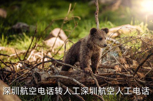 深圳航空電話轉人工深圳航空人工電話
