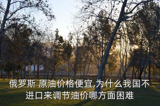 俄羅斯 原油價(jià)格便宜,為什么我國不進(jìn)口來調(diào)節(jié)油價(jià)哪方面困難