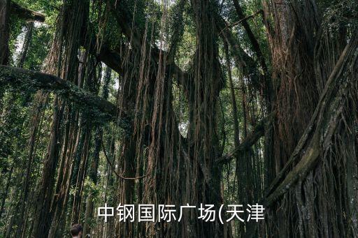  中鋼國際廣場(天津