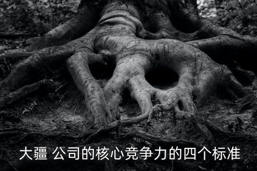  大疆 公司的核心競(jìng)爭(zhēng)力的四個(gè)標(biāo)準(zhǔn)