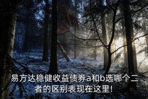 易方達投資級信用債a怎么樣
