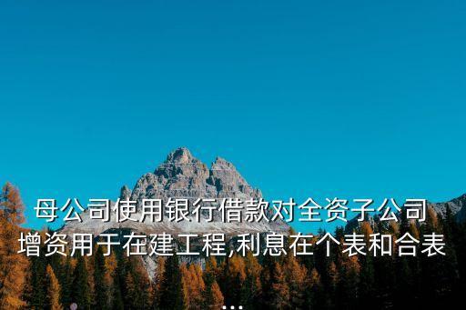  母公司使用銀行借款對全資子公司 增資用于在建工程,利息在個(gè)表和合表...