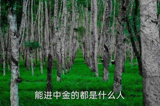 能進中金的都是什么人