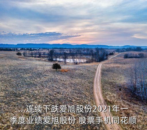 ...連續(xù)下跌愛旭股份2021年一季度業(yè)績(jī)愛旭股份 股票手機(jī)同花順