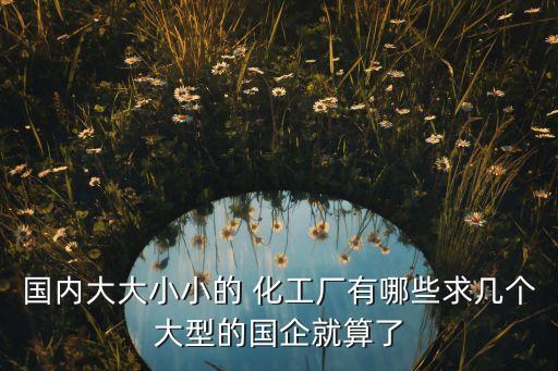 國內(nèi)大大小小的 化工廠有哪些求幾個(gè)大型的國企就算了