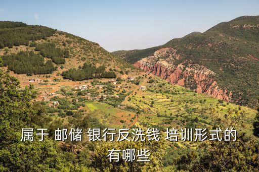 屬于 郵儲 銀行反洗錢 培訓形式的有哪些