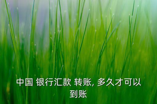 中國(guó) 銀行匯款 轉(zhuǎn)賬, 多久才可以到賬
