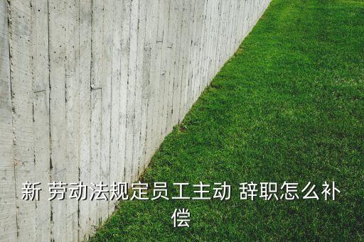 新 勞動法規(guī)定員工主動 辭職怎么補(bǔ)償