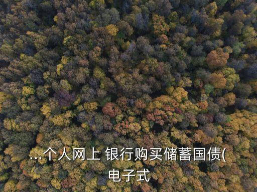 ...個(gè)人網(wǎng)上 銀行購(gòu)買儲(chǔ)蓄國(guó)債(電子式