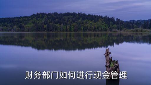  財(cái)務(wù)部門(mén)如何進(jìn)行現(xiàn)金管理