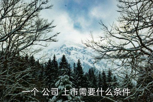 一個(gè) 公司 上市需要什么條件