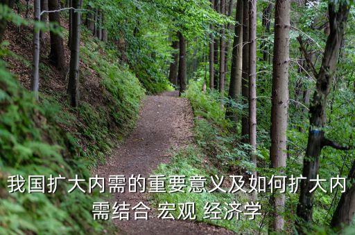 我國(guó)擴(kuò)大內(nèi)需的重要意義及如何擴(kuò)大內(nèi)需結(jié)合 宏觀 經(jīng)濟(jì)學(xué)