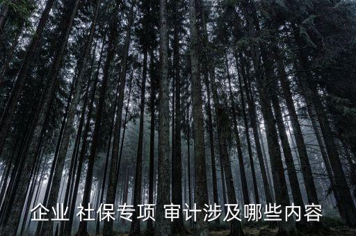 企業(yè) 社保專項(xiàng) 審計(jì)涉及哪些內(nèi)容