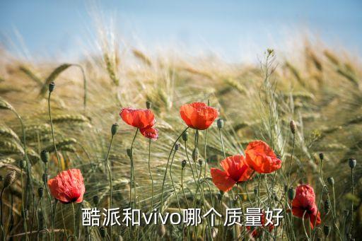  酷派和vivo哪個(gè)質(zhì)量好