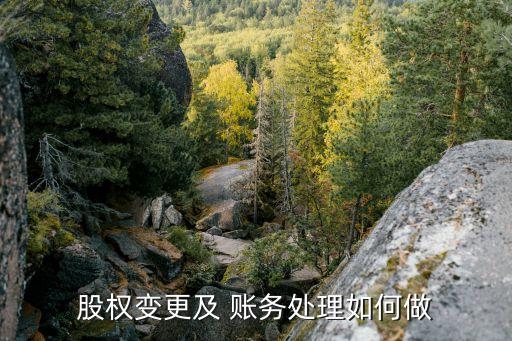 股權(quán)變更及 賬務(wù)處理如何做