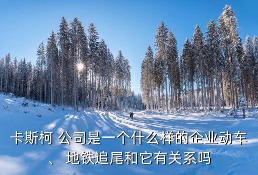 卡斯柯 公司是一個什么樣的企業(yè)動車、 地鐵追尾和它有關(guān)系嗎