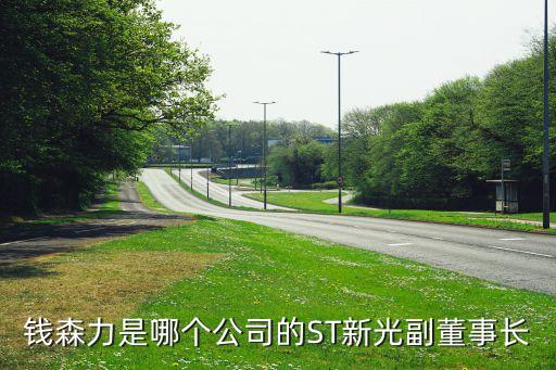 馬鞍山馬鋼比歐西氣體有限責任公司,馬鋼林德氣體有限責任公司簡介