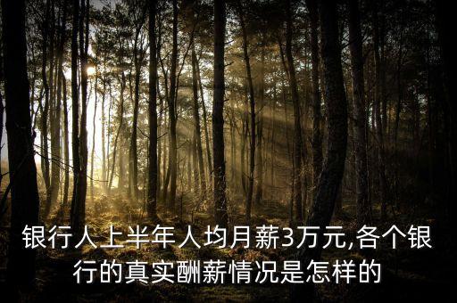 銀行人上半年人均月薪3萬元,各個銀行的真實(shí)酬薪情況是怎樣的