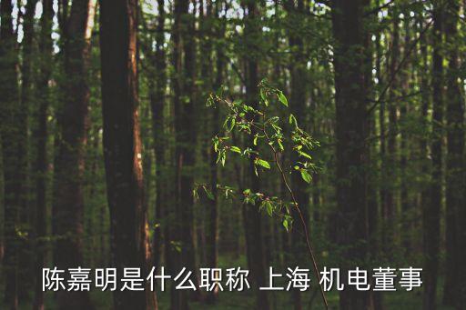 陳嘉明是什么職稱(chēng) 上海 機(jī)電董事