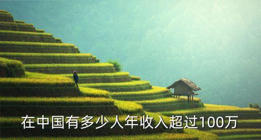 中國百萬人數,中國超百萬的人數是多少