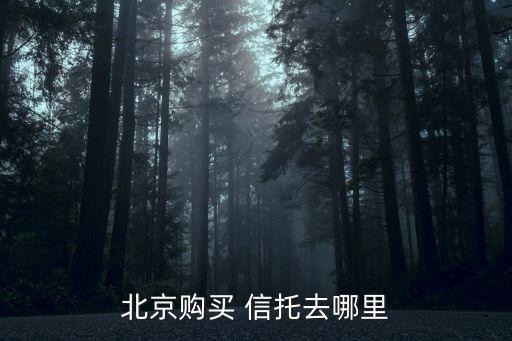 北京購買 信托去哪里