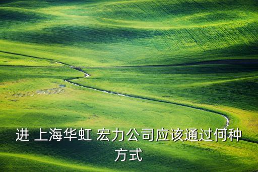 進(jìn) 上海華虹 宏力公司應(yīng)該通過(guò)何種方式
