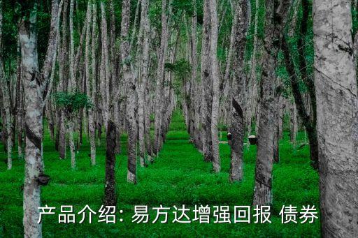 產(chǎn)品介紹: 易方達增強回報 債券