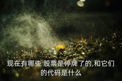 現在有哪些 股票是停牌了的,和它們的代碼是什么