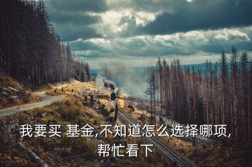 我要買(mǎi) 基金,不知道怎么選擇哪項(xiàng),幫忙看下