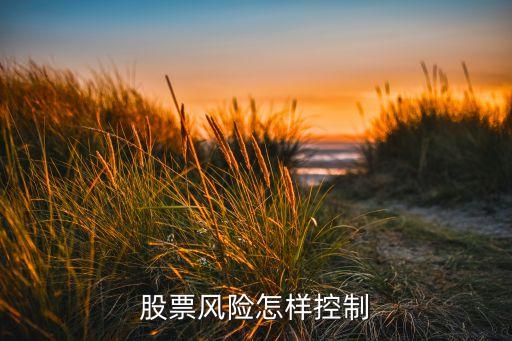 股票風(fēng)險怎樣控制