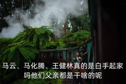 馬云、馬化騰、王健林真的是白手起家嗎他們父親都是干啥的呢