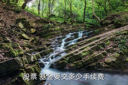股票 基金要交多少手續(xù)費