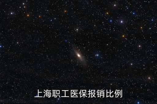 上海職工醫(yī)保報(bào)銷(xiāo)比例