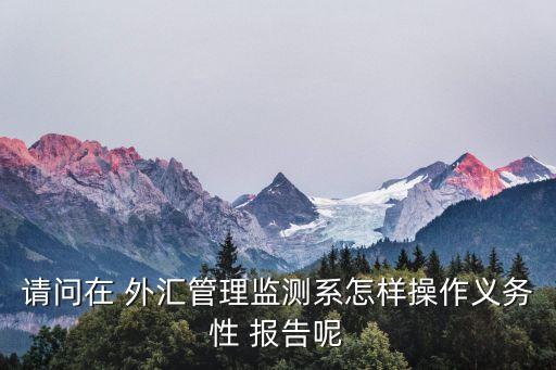 外匯投資報告